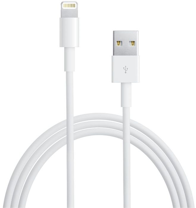 Apple Lightning to USB cable (0.5 m)