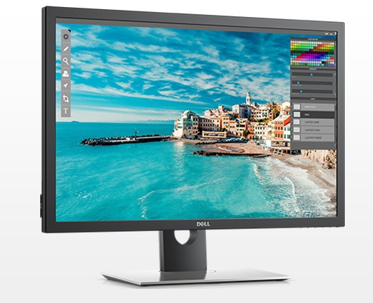 Dell 30"   UP3017 LCD S/BK  (IPS; 16:10; 350 cd/m2; 1000:1; 2560x1600; 6 ms; 178/178; HDMI; DP; USB; HAS; Tilt; Pivot)