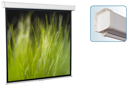 Настенный экран Goldview 244*244 MW