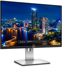 Dell 24.1" U2415 LCD S/BK ( S-IPS; 16:10; 300cd/m2; 2M:1; 8ms; 1920x1200; 178/178; 2хHDMI; DP; MiniDP; USB; HAS; Tilt; Pivot)