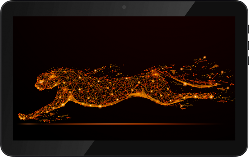 IRBIS TZ165, 10.1" (1024x600), SC7731C 4x1,2Ghz (QuadCore), 1024MB, 16GB, cam 0.3MPx+2.0MPx, Wi-Fi, 3G (2xSimCard), Bluetooth, GPS, Android 7.0, microUSB, MicroSD, jack 3.5, Black