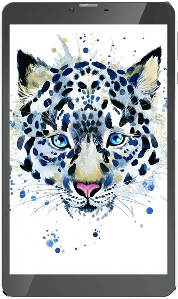 IRBIS TZ841, 8" (1280x800IPS), SC7731G 4x1,3Ghz (QuadCore), 1024MB, 16GB, cam 0.3MPx+2.0MPx, Wi-Fi, 3G (2xSimCard), Bluetooth, GPS, Android 7.0, microUSB, MicroSD, jack 3.5, Black