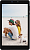 IRBIS TZ872, 8" (1280x800IPS), SC9832 4x1,3Ghz (QuadCore), 1024MB, 8GB, cam 0.3MPx+2.0MPx, Wi-Fi, LTE + 3G (2xSimCard), Bluetooth, GPS, Android 7.0, microUSB, MicroSD, jack 3.5, Black