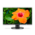 NEC 27" E271N-BK LCD Bk/Bk (IPS; 16:9; 250cd/m2; 1000:1; 6ms; 1920x1080; 178/178; VGA; HDMI; DP; HAS 130mm; Swiv; Tilt; Pivot; Spk 2x1W)