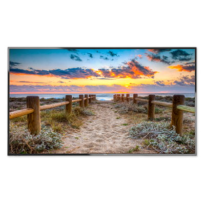 NEC 55" E556 PD Bk/Bk (12/7; S-IPS; 16:9; 350cd/m2; 1200:1; 9ms; 1920x1080; 176/176; MediaPlayer; VideoIN: 1хVGA, 3xHDM; Spk 2х10W)