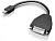 Lenovo Mini-DisplayPort to DVI Cable