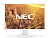 NEC 24.1" PA243W LCD S/Wh (AH-IPS; 16:10; 350cd/m2; 1000:1; 8 ms; 10 bit; 1920x1200; 178/178; D-sub; DVI-D; DP; HDMI; USB hub; HAS 150mm; Swiv 170/170; Tilt; Pivot; PiP)
